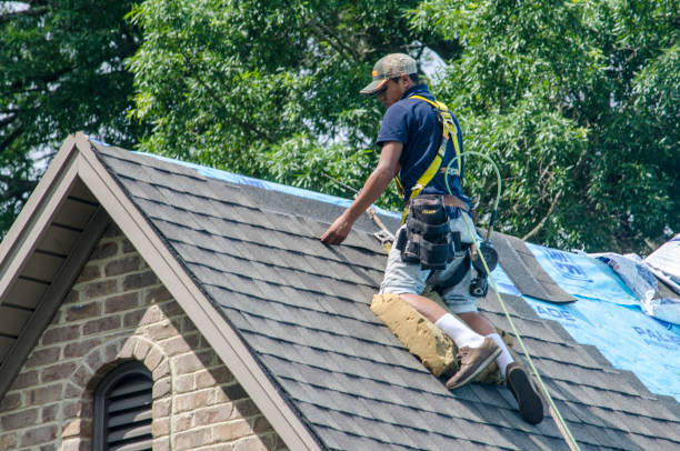 Best Roof Repair Specialists  in South Les, AK